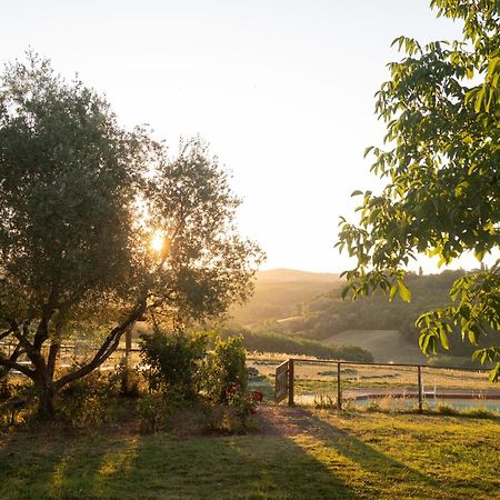 Agriturismo Le Tre Pietre - Podere Nel Chianti Quercegrossa Exteriör bild