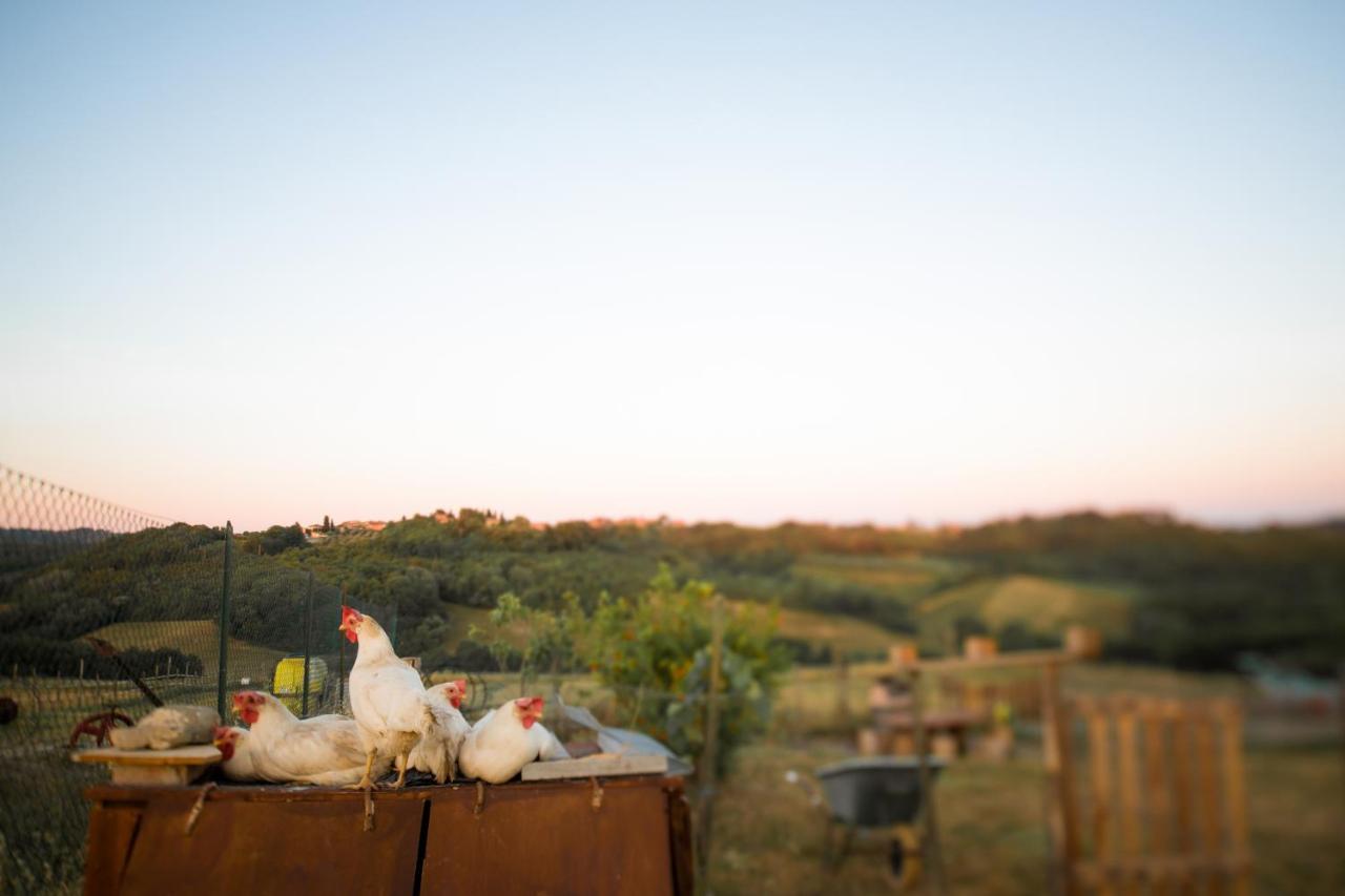 Agriturismo Le Tre Pietre - Podere Nel Chianti Quercegrossa Exteriör bild