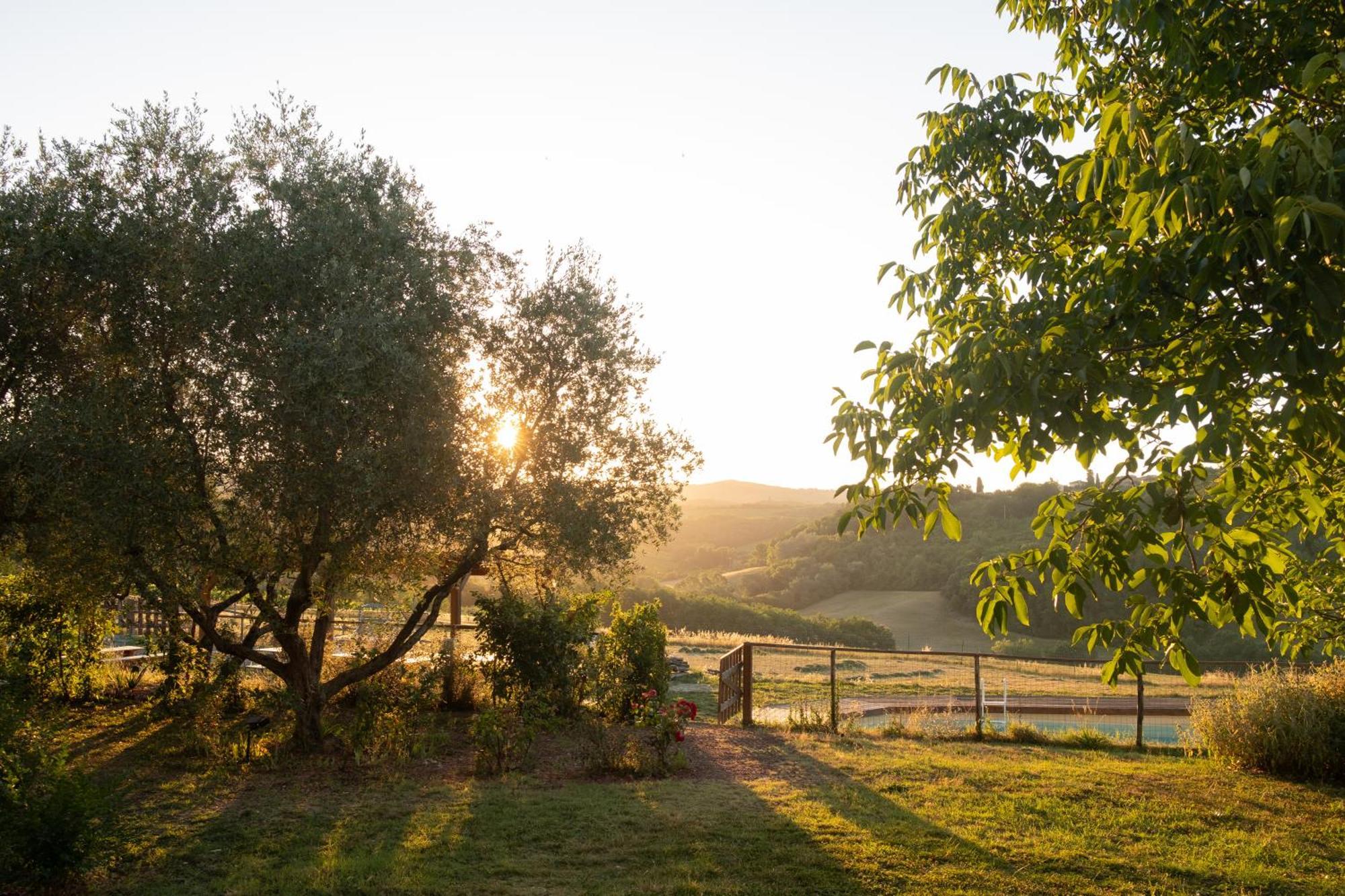 Agriturismo Le Tre Pietre - Podere Nel Chianti Quercegrossa Exteriör bild