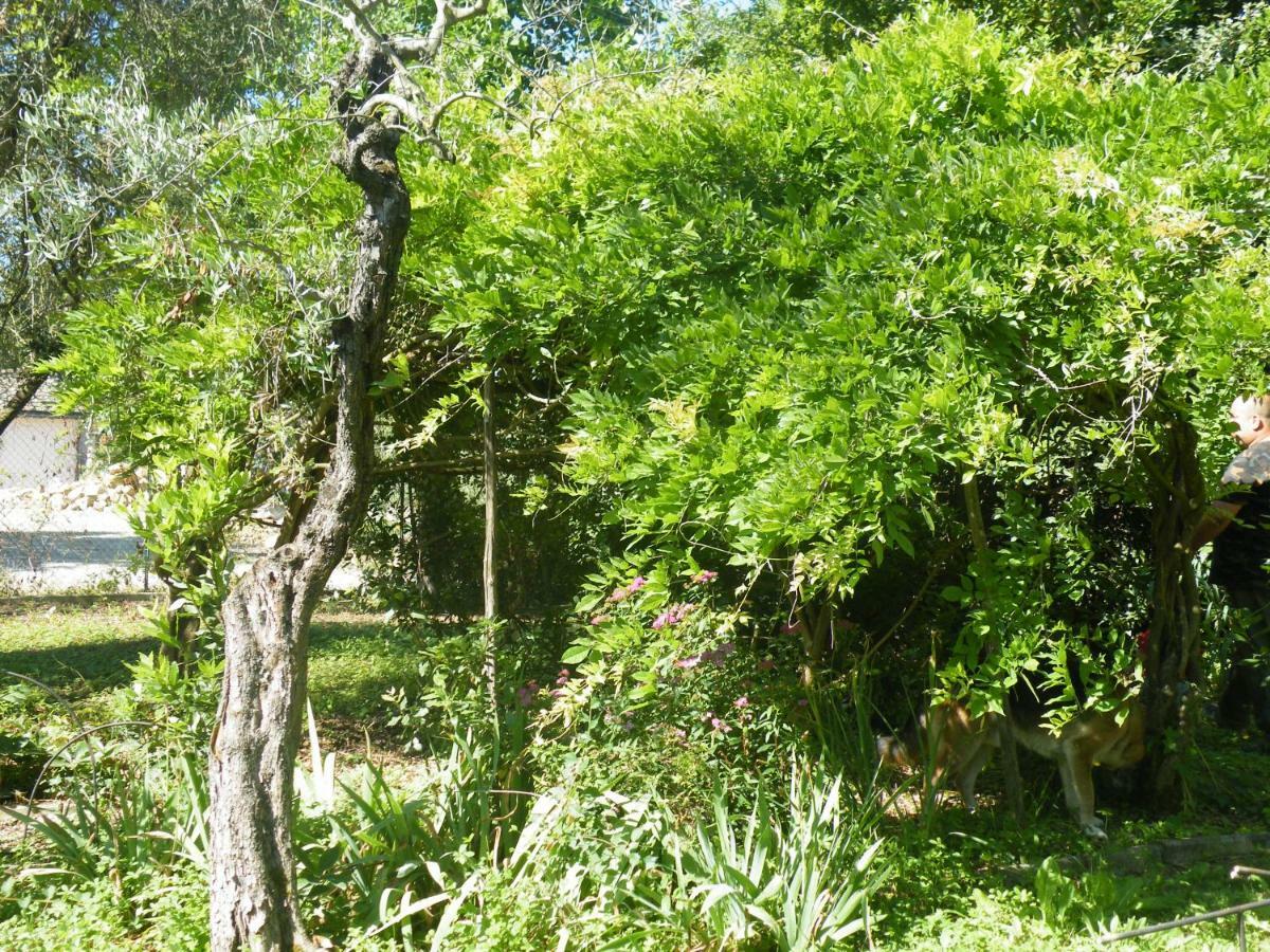 Agriturismo Le Tre Pietre - Podere Nel Chianti Quercegrossa Exteriör bild